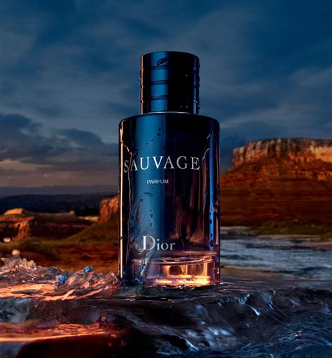 dior dauvage parfum|Dior Sauvage best price.